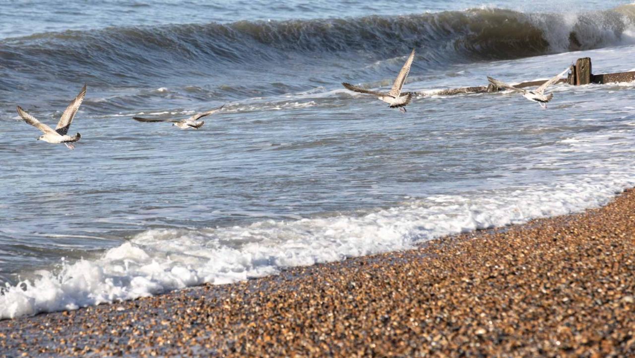 The Relais Cooden Beach And Spa Bexhill-on-Sea Екстериор снимка